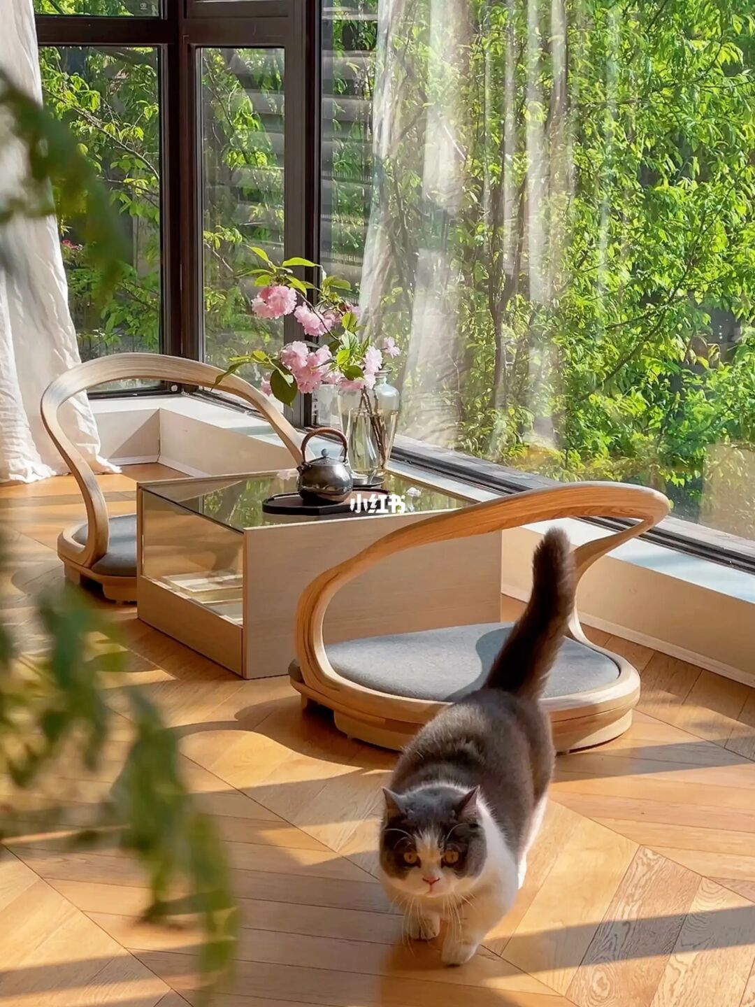 ������������ɵĵط���������˯��һ���ܸ���һ���ƣ����